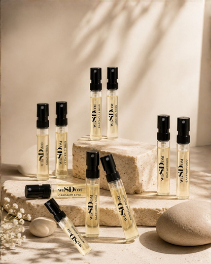 Discovery Set of 10