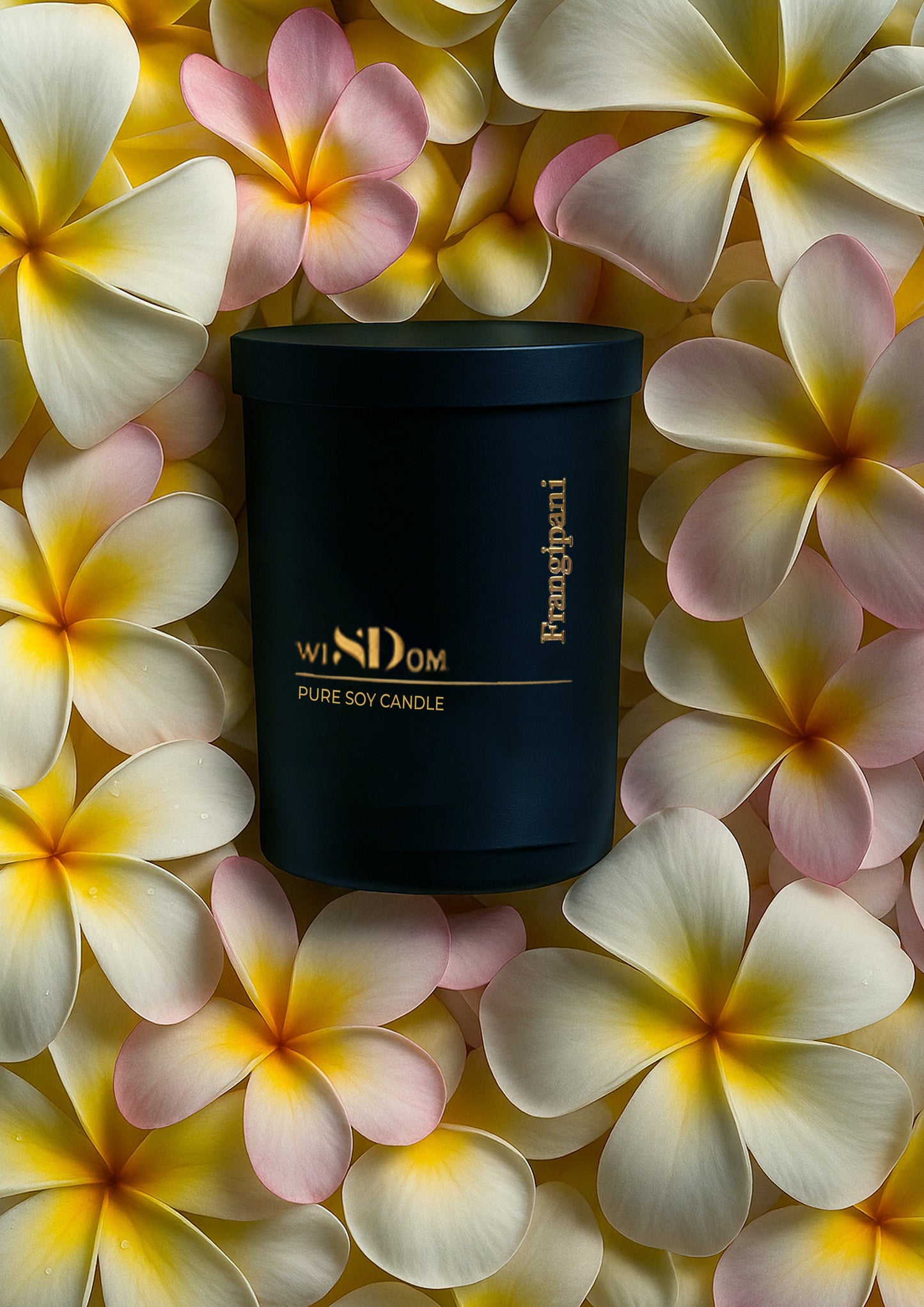 Frangipani