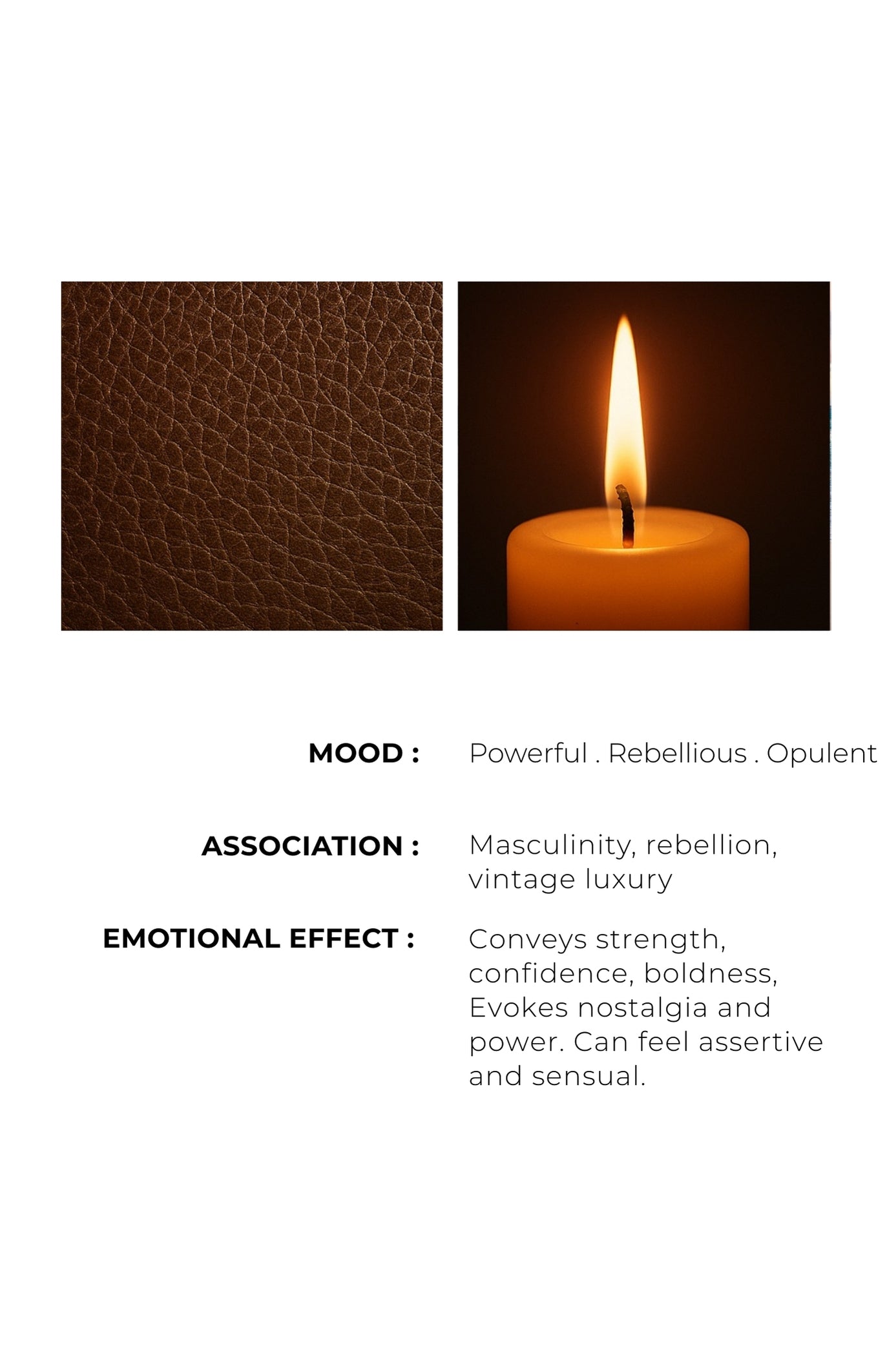 LEATHER INSTINCT - Raw. Rebellious. Entirely unapologetic.