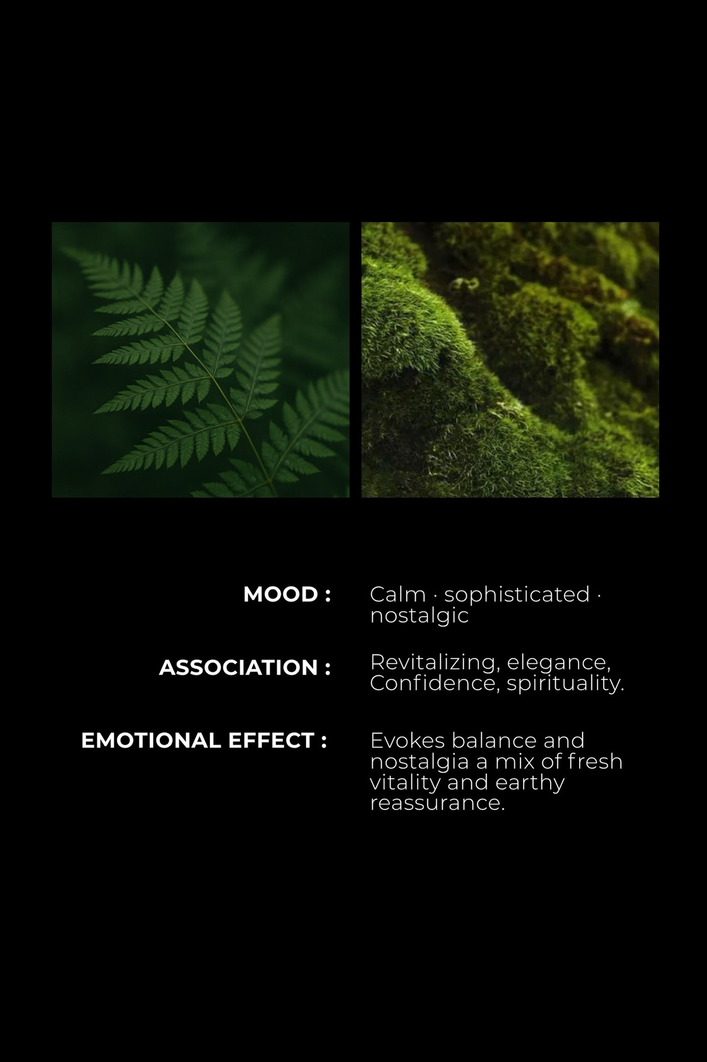 FOUGERE & WOODS - Masculine Mystique