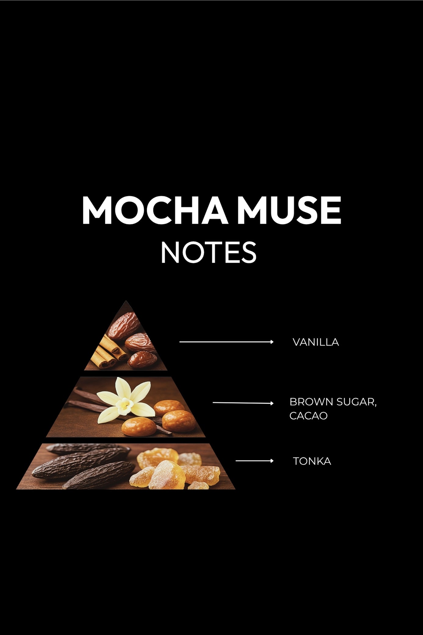 MOCHA MUSE  - Bittersweet. Addictive. Inspired.
