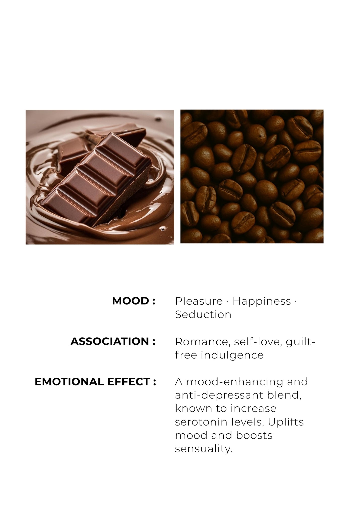 MOCHA MUSE  - Bittersweet. Addictive. Inspired.