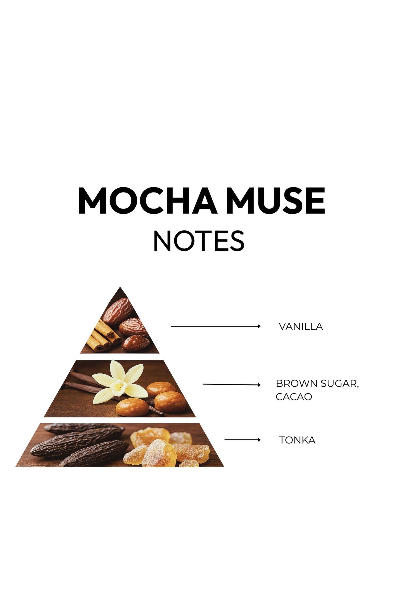 MOCHA MUSE  - Bittersweet. Addictive. Inspired.