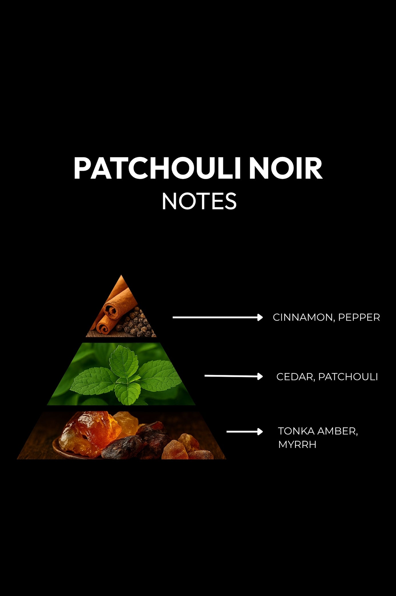 PATCHOULI NOIR - The night is made of earth.