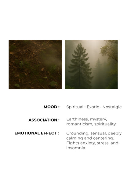 PATCHOULI NOIR - The night is made of earth.