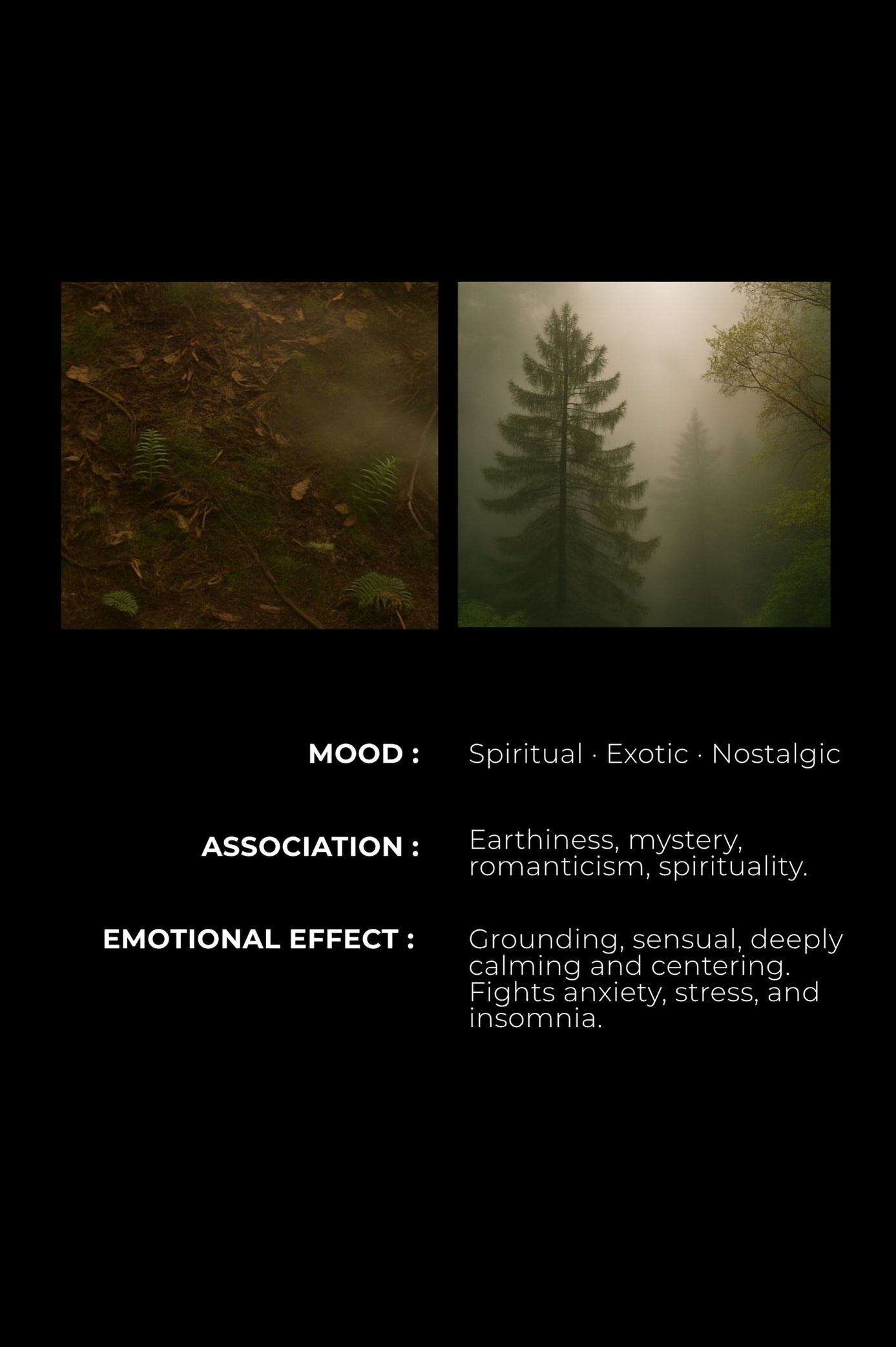 PATCHOULI NOIR - The night is made of earth.