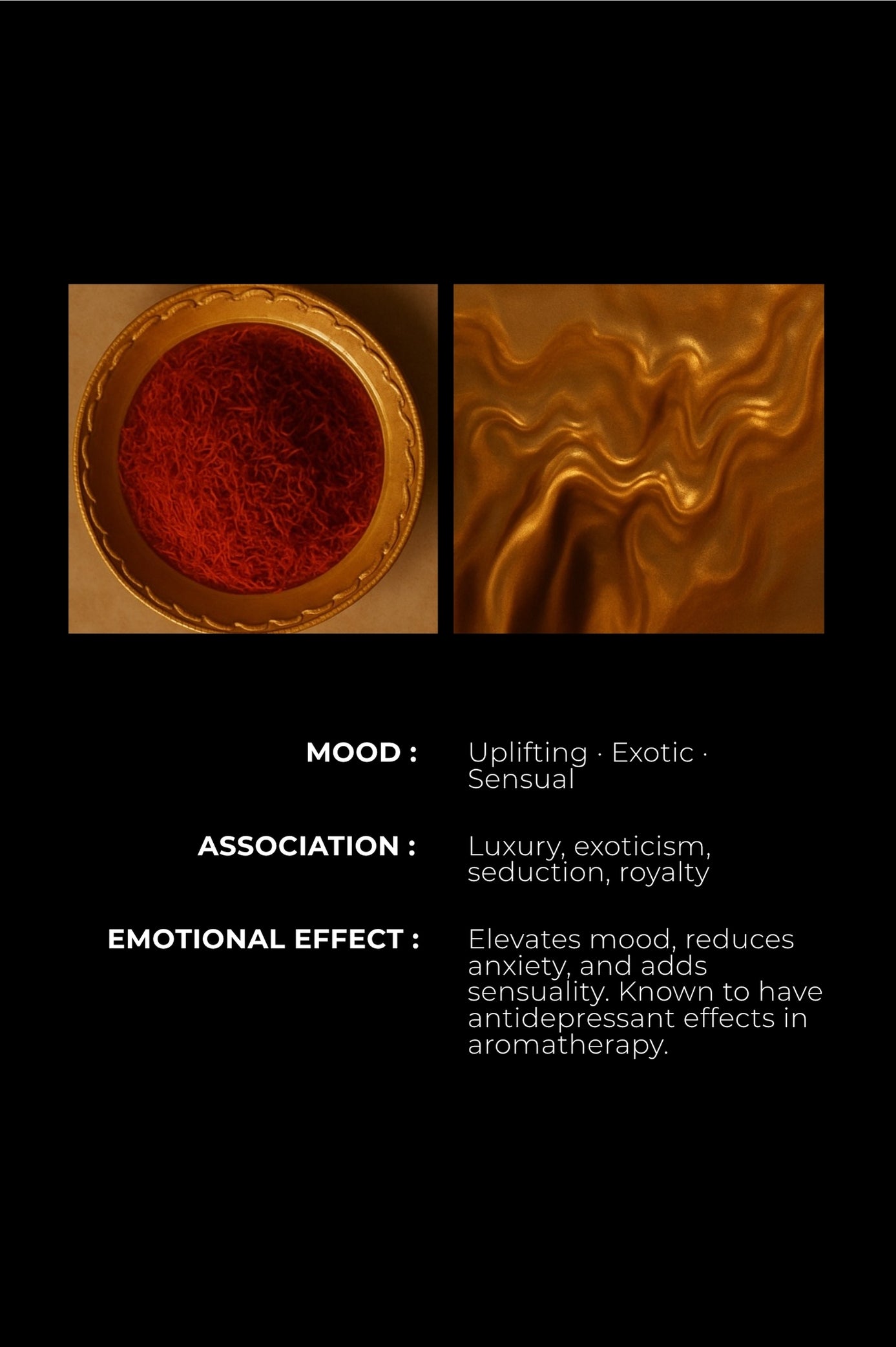 SAFFRON DUSK - Sacred spice. Sensual skin.