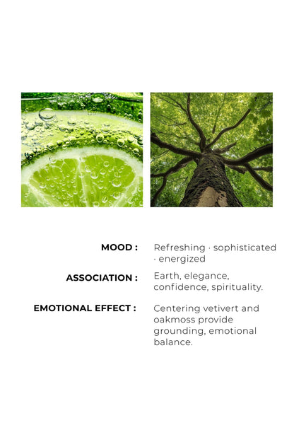 CITRUS & VETIVERT -  Lasting impression with every drop
