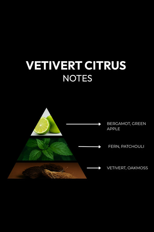 CITRUS & VETIVERT -  Lasting impression with every drop