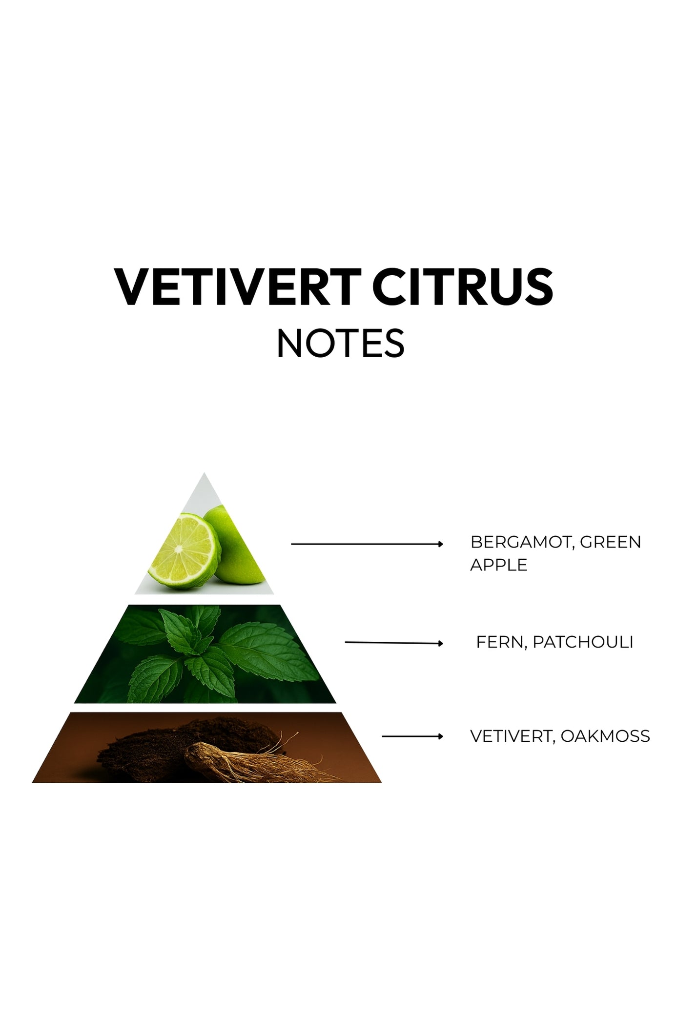 CITRUS & VETIVERT -  Lasting impression with every drop